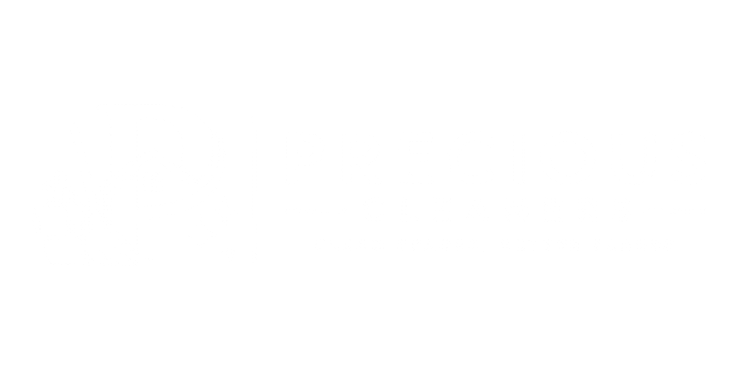 Precious Cleaners