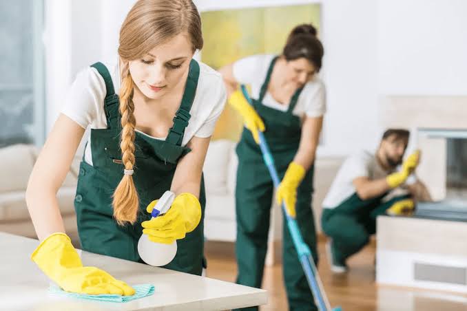Standard Residential Cleaning — Precious Cleaners